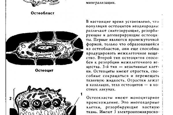 Кракен ссылка на тор официальная